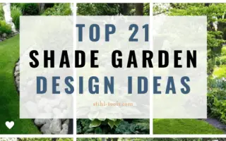 TOP 21 Shade Garden Design Ideas