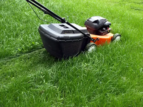 Landscaping Tricks: Lawn Care Tips